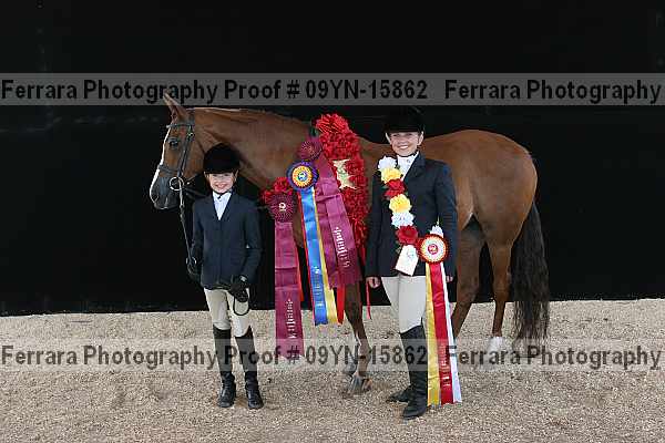 Proof 09yn-15862