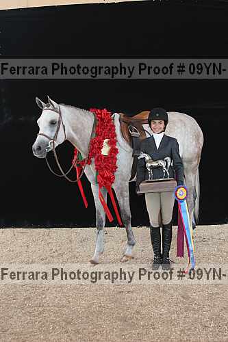 Proof 09yn-15869