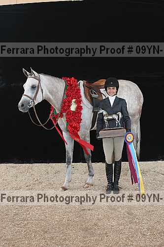 Proof 09yn-15870