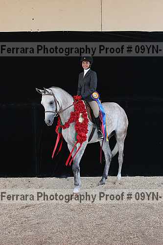 Proof 09yn-15876