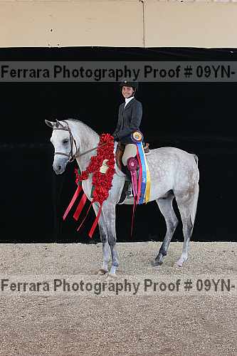 Proof 09yn-15877