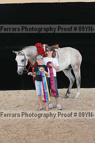 Proof 09yn-15882