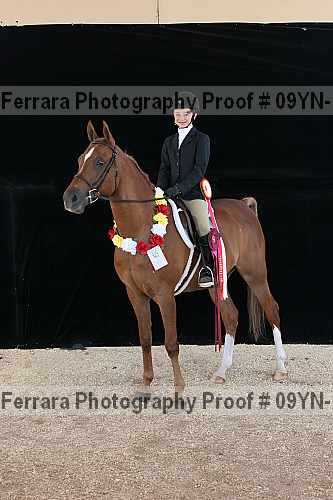 Proof 09yn-15891