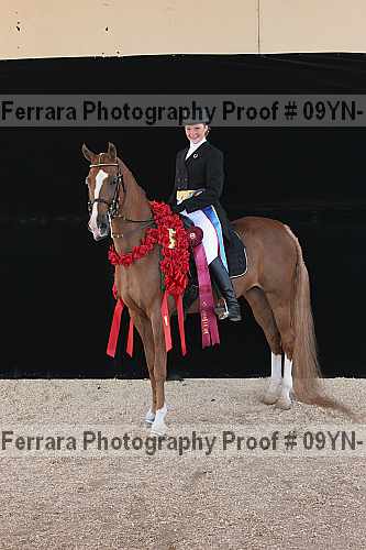 Proof 09yn-15894