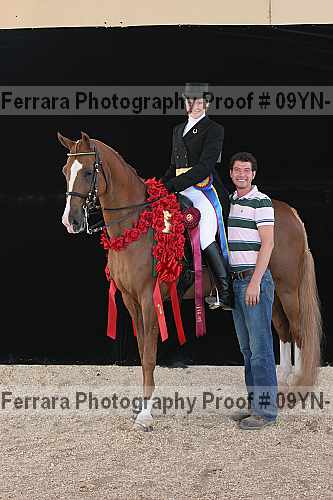 Proof 09yn-15896