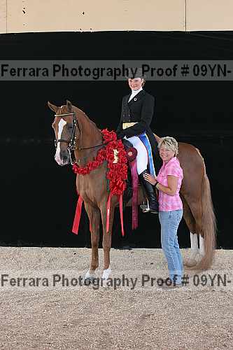 Proof 09yn-15899