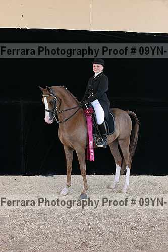 Proof 09yn-15902