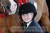 09yn-16562 proof