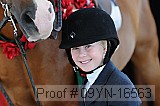 09yn-16563 proof