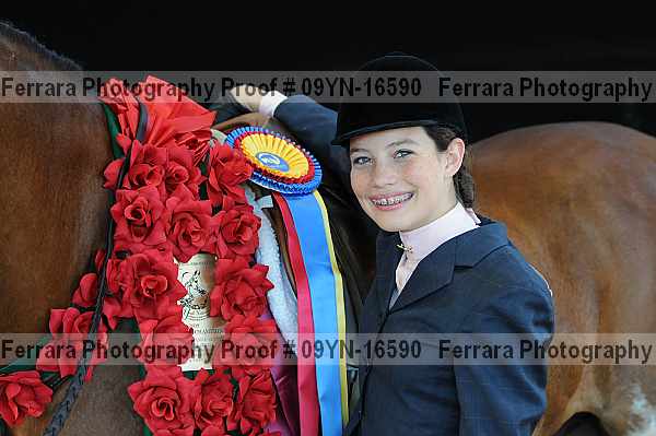 Proof 09yn-16590