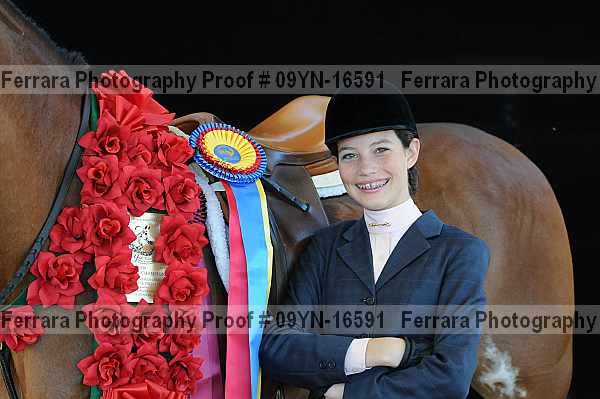 Proof 09yn-16591