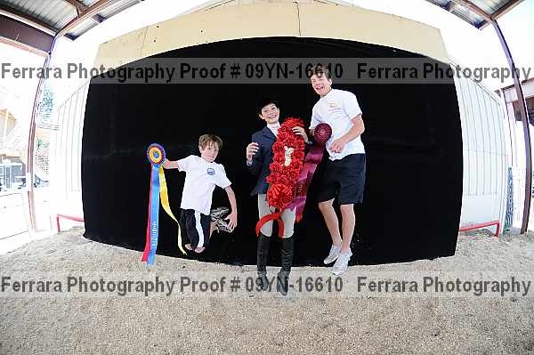 Proof 09yn-16610