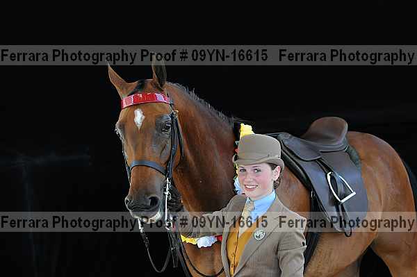 Proof 09yn-16615