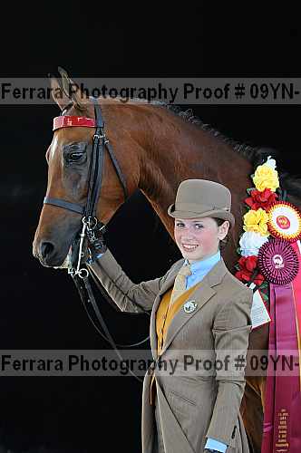 Proof 09yn-16620