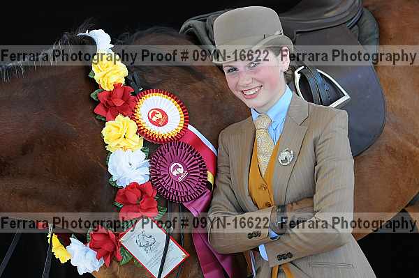 Proof 09yn-16622
