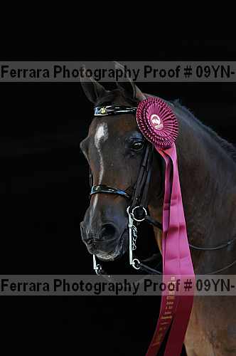 Proof 09yn-16737