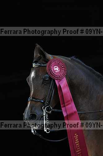 Proof 09yn-16738