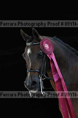 Proof 09yn-16739
