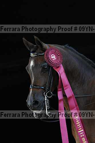 Proof 09yn-16741