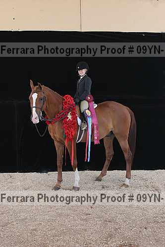 Proof 09yn-16782