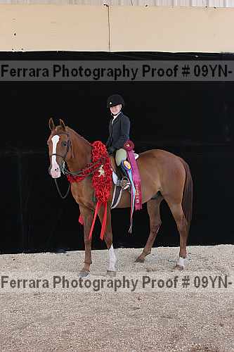 Proof 09yn-16783