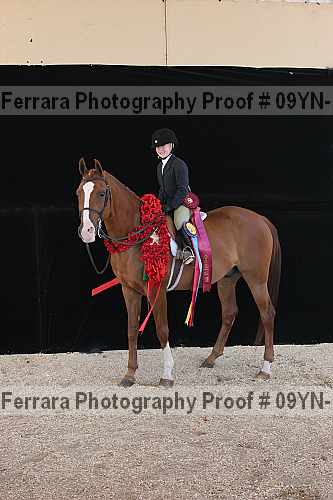 Proof 09yn-16784