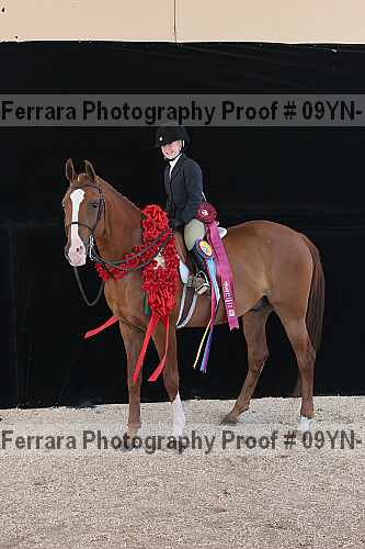 Proof 09yn-16785