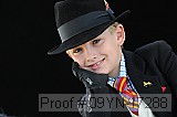 09yn-17288 proof