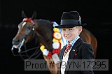 09yn-17295 proof