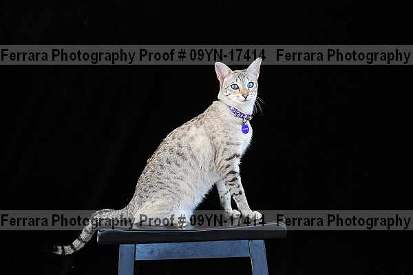 Proof 09yn-17414