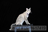 09yn-17419 proof