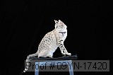 09yn-17420 proof