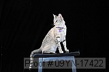 09yn-17422 proof
