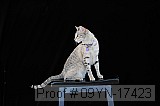 09yn-17423 proof