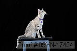 09yn-17424 proof