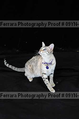 Proof 09yn-17428