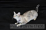 09yn-17435 proof