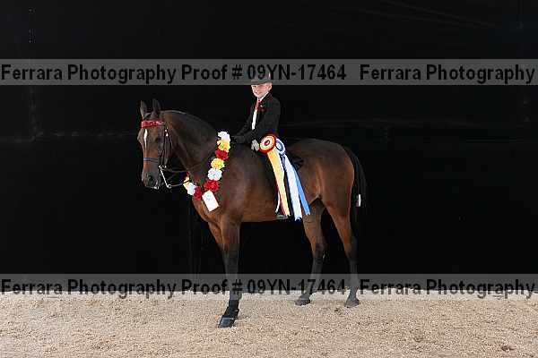 Proof 09yn-17464