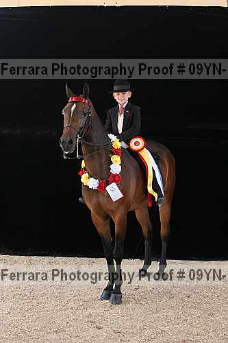 Proof 09yn-17468