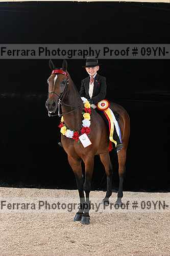 Proof 09yn-17470