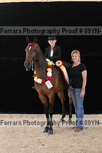 Proof 09yn-17471