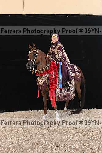 Proof 09yn-17475