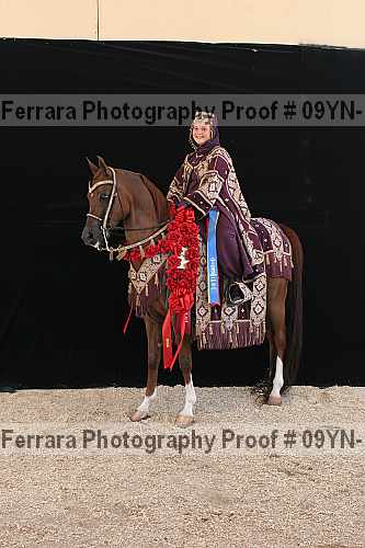 Proof 09yn-17476