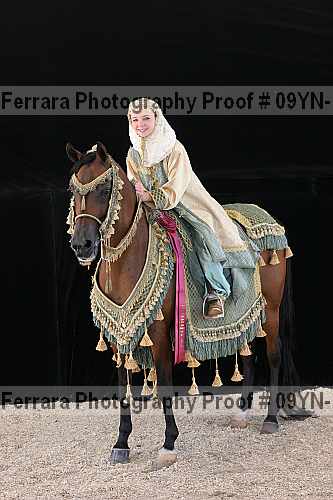 Proof 09yn-17487