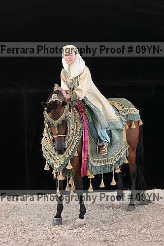 Proof 09yn-17488