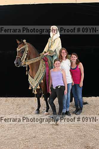 Proof 09yn-17491
