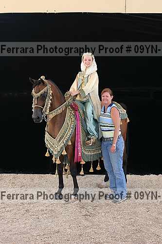 Proof 09yn-17493