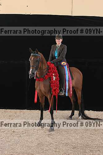 Proof 09yn-17496