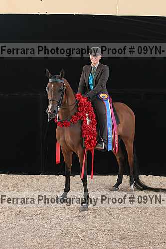 Proof 09yn-17497