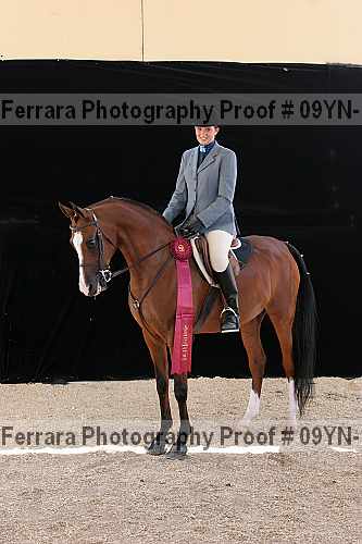 Proof 09yn-17525